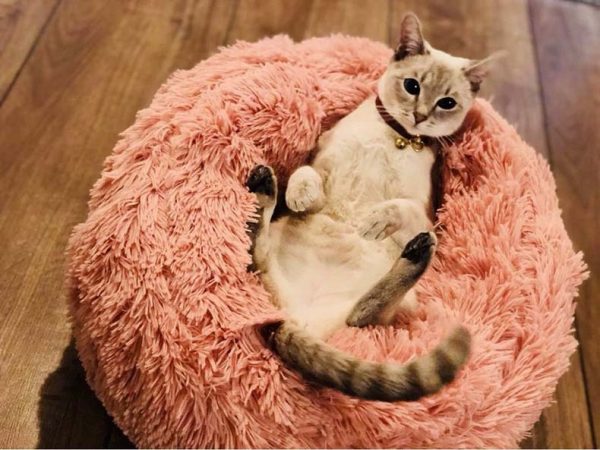 Pet's Round Shaped Fluffy Bed - Image 4