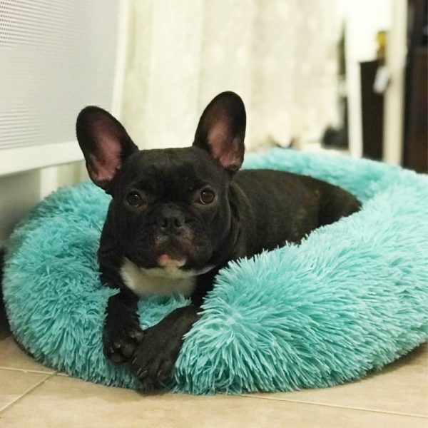 Soft Plush Donut Bed - Image 4